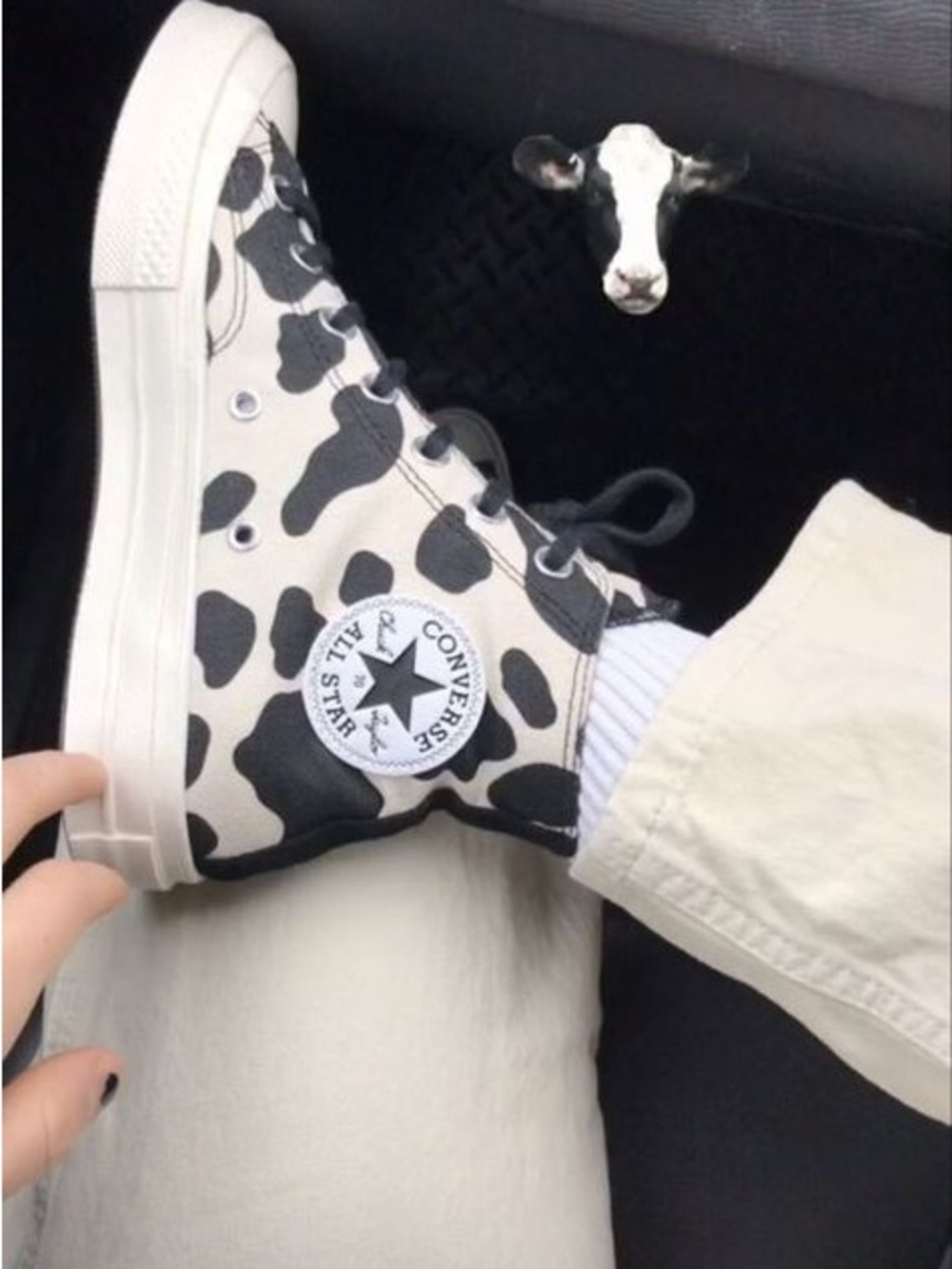 Converse Chuck 70 High Top Cow Print Sneakers Black Cream Animal Pattern Women 8